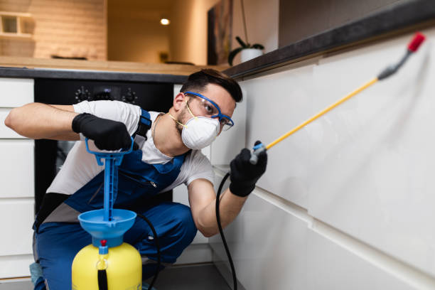 Best Best Pest Control Companies  in Sylacauga, AL