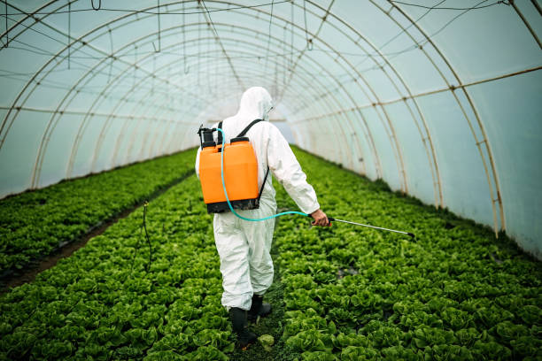Pest Control for Restaurants in Sylacauga, AL