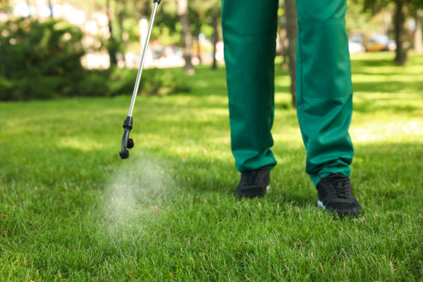 Best Wasp Removal Services  in Sylacauga, AL