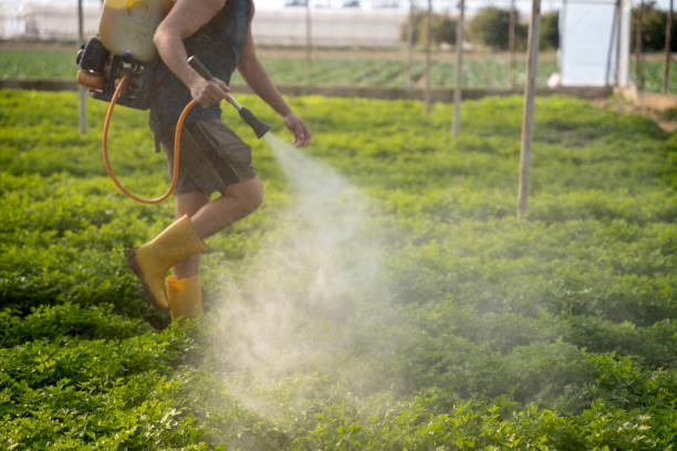 Best Insect Control  in Sylacauga, AL