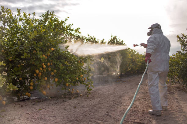 Best Affordable Pest Control Services  in Sylacauga, AL