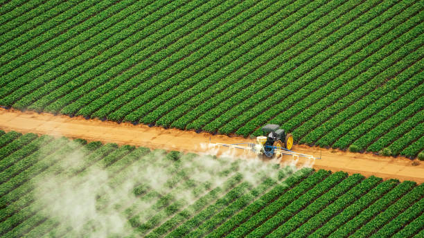 Best Mosquito Control Services  in Sylacauga, AL