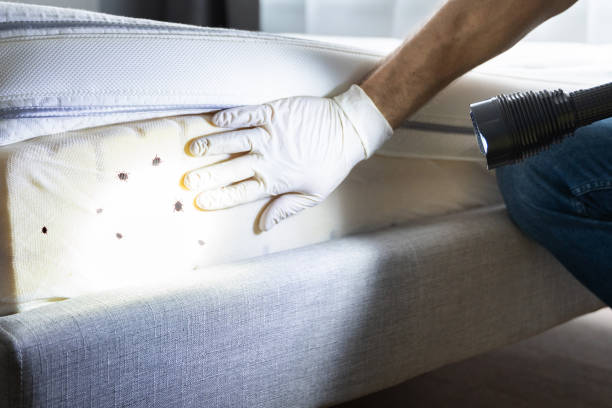  Sylacauga, AL Pest Control Pros