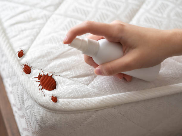 Best Pest Prevention Services  in Sylacauga, AL