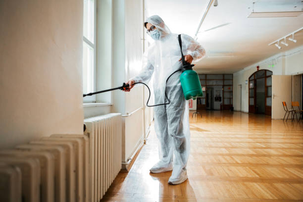 Best Local Pest Control Services  in Sylacauga, AL
