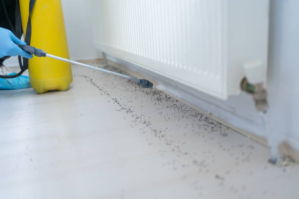 Best Affordable Pest Control Services  in Sylacauga, AL