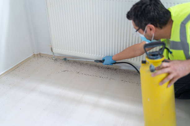 Best Rat Extermination Near Me  in Sylacauga, AL