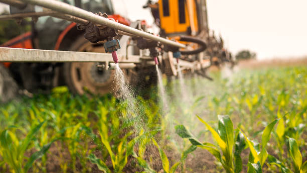 Best Pest Control Treatment  in Sylacauga, AL