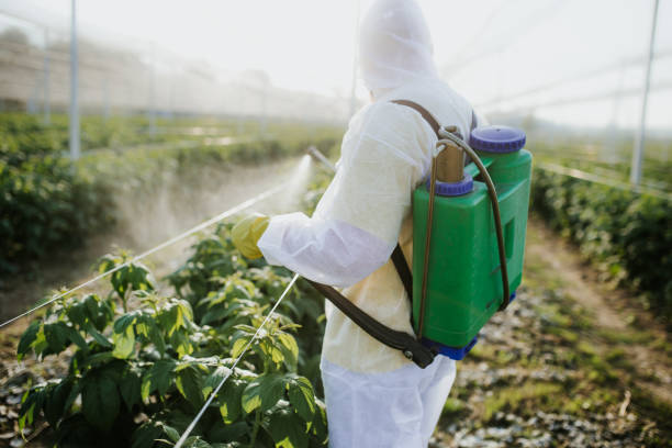 Professional Pest Control in Sylacauga, AL